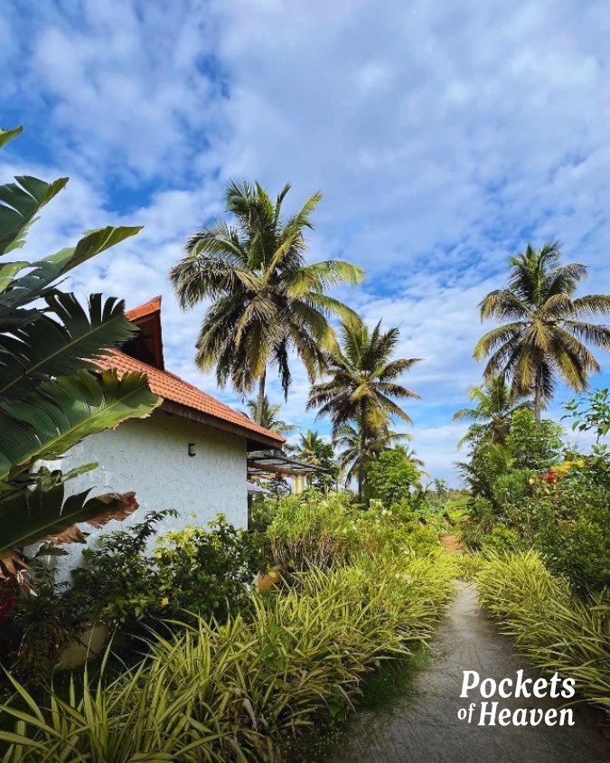 P1925 - Farmhouse with pool in Bidadi