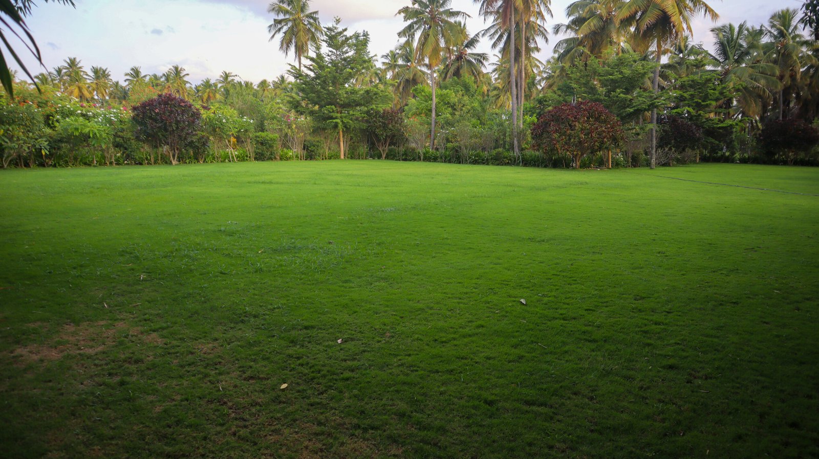 Pockets-of-Heaven-Survey 53-Nature-Villa-in-Devanahalli-25