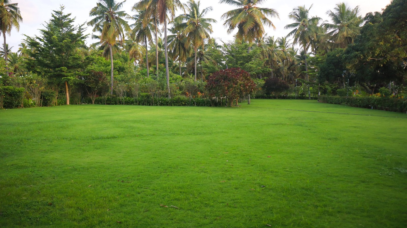 Pockets-of-Heaven-Survey 53-Nature-Villa-in-Devanahalli-26