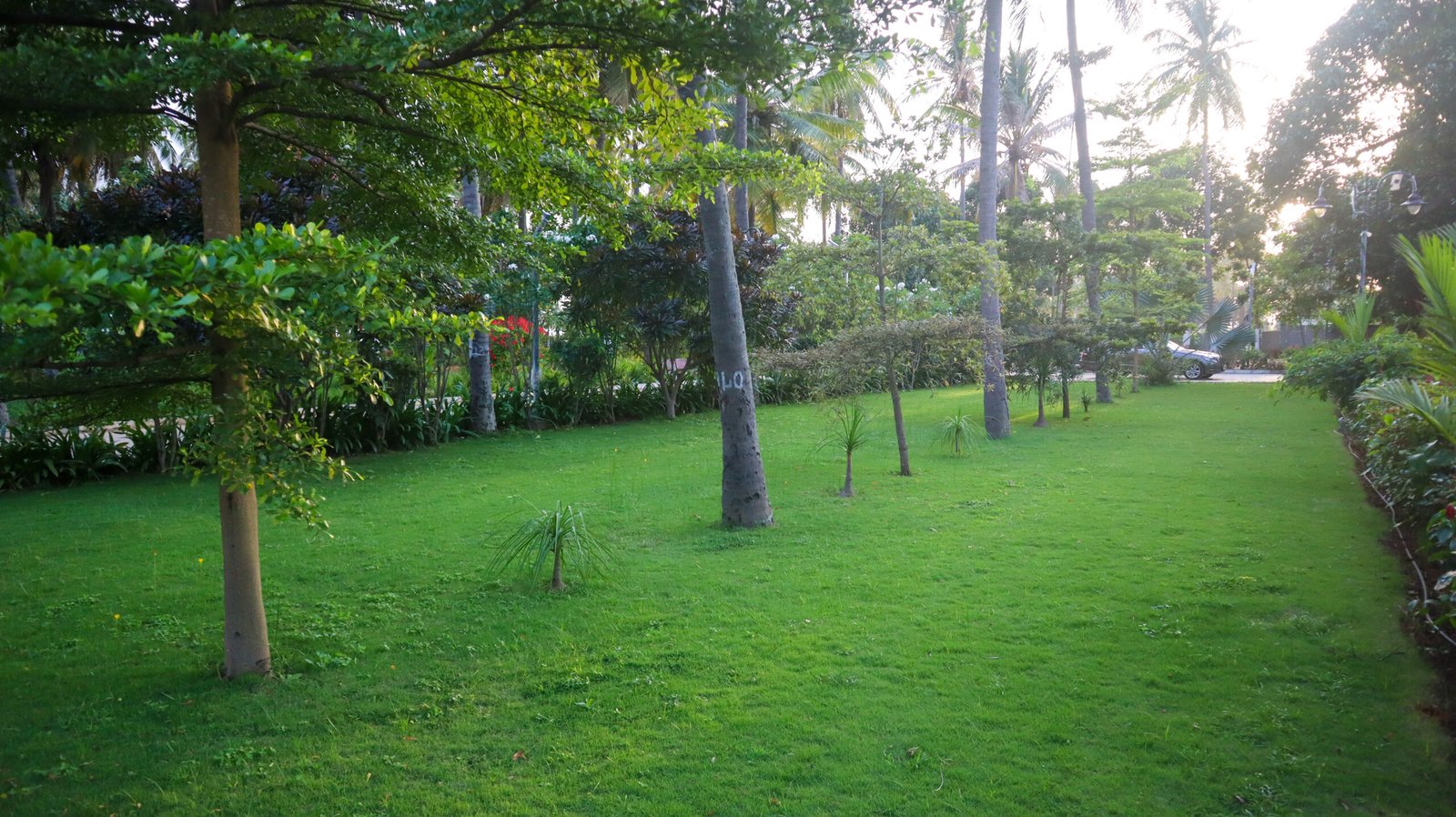 Pockets-of-Heaven-Survey 53-Nature-Villa-in-Devanahalli-29