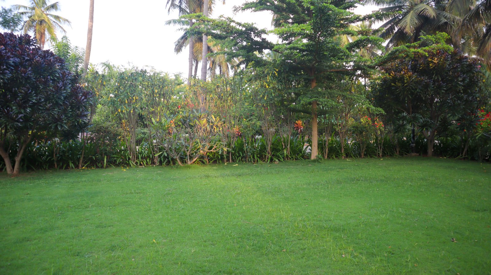 Pockets-of-Heaven-Survey 53-Nature-Villa-in-Devanahalli-30